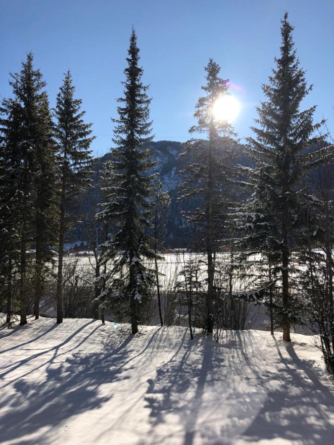 Appartement Karwendel-lodge *