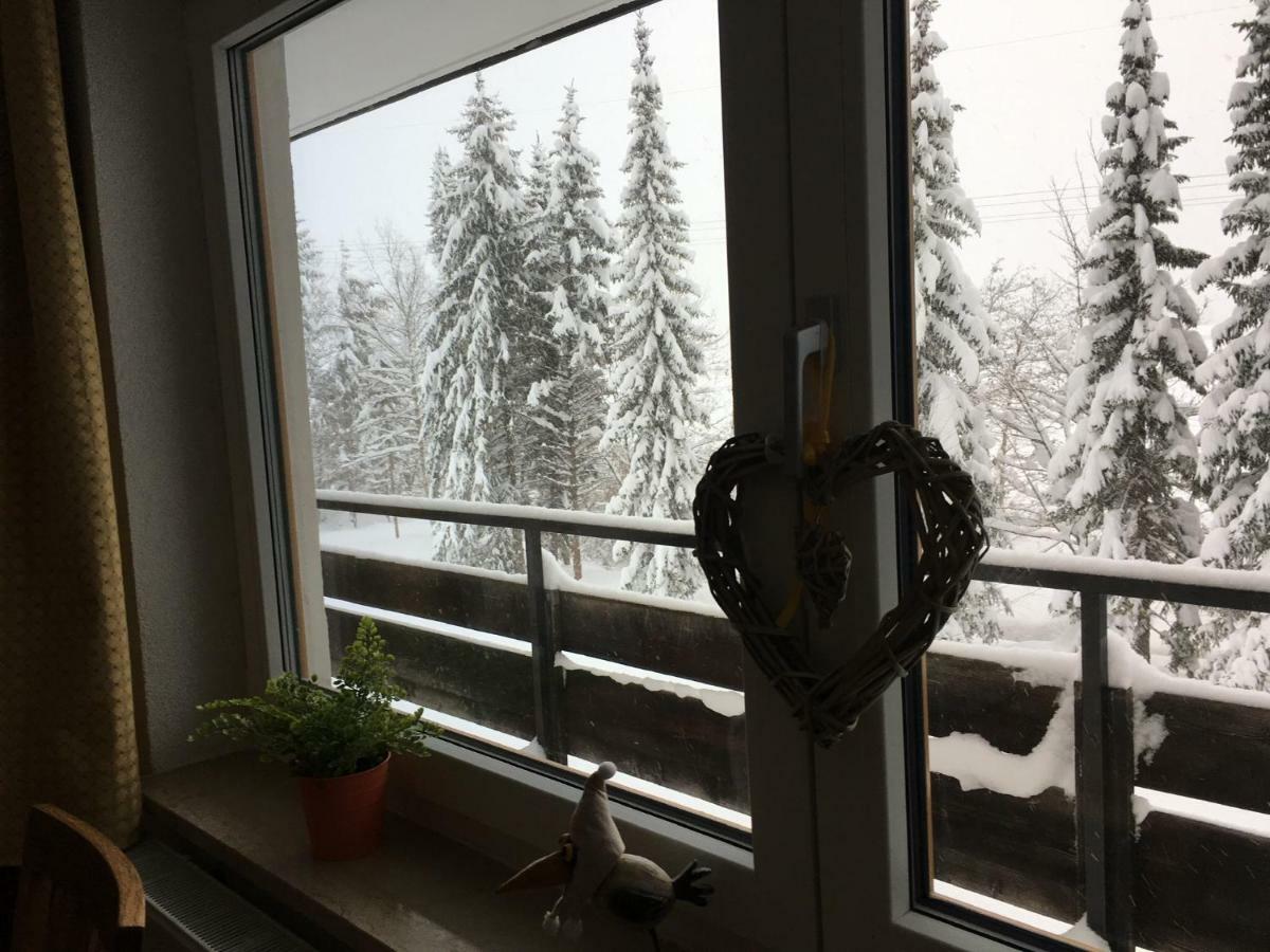 Appartement Karwendel-lodge